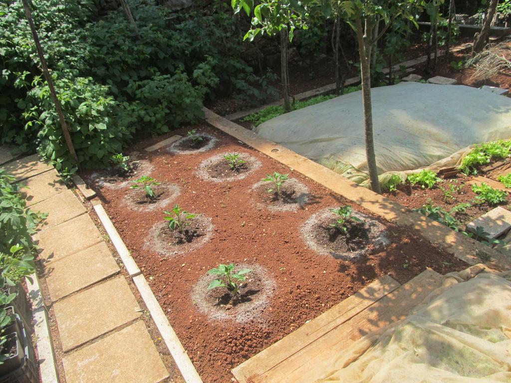 PUY Apartment Artusi חדר תמונה