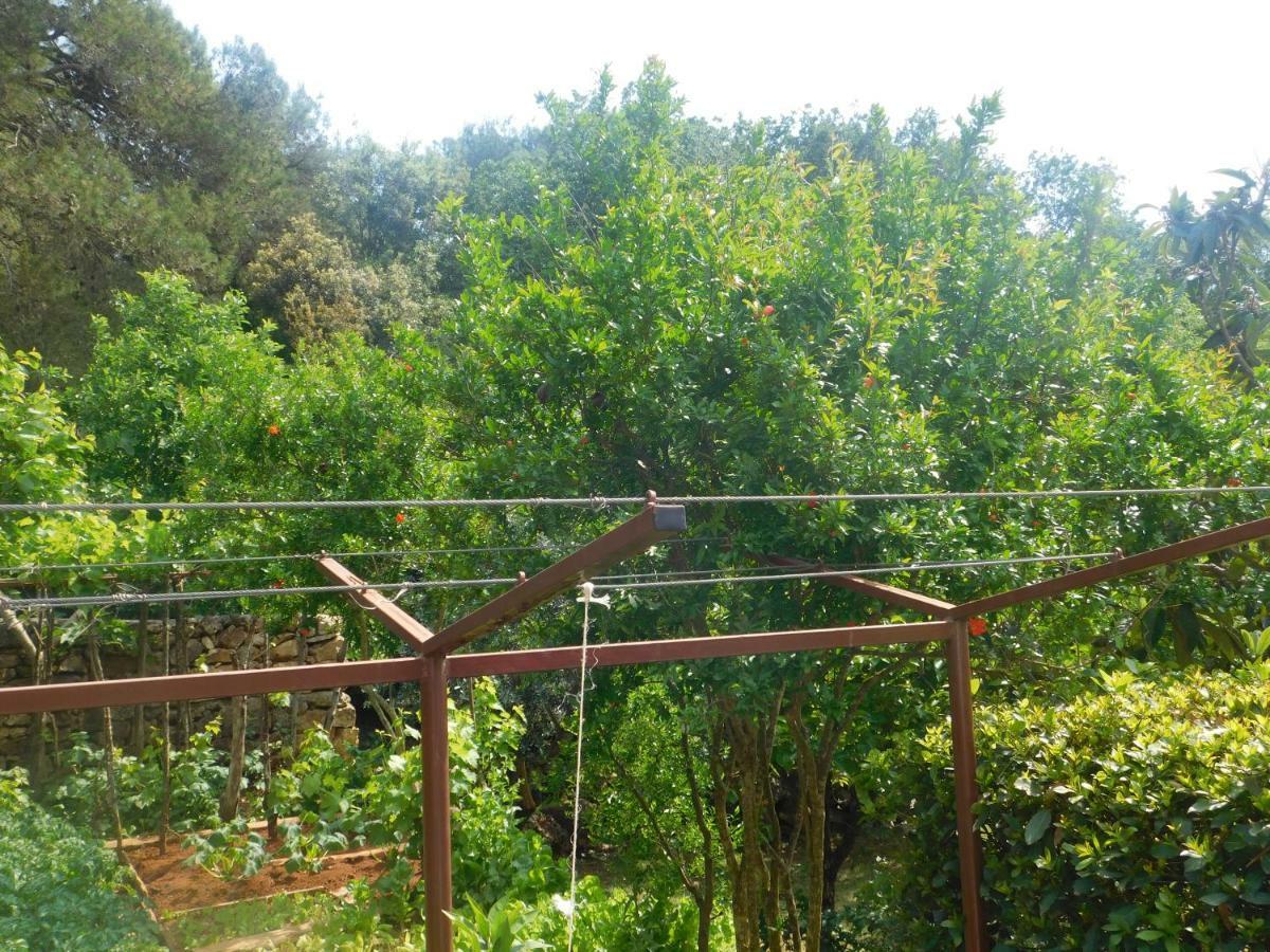 PUY Apartment Artusi מראה חיצוני תמונה