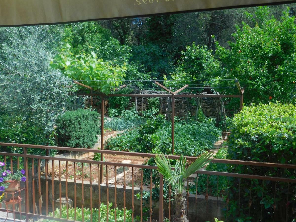 PUY Apartment Artusi מראה חיצוני תמונה